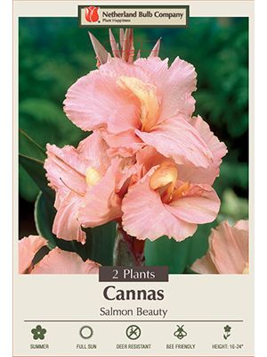 Canna Salmon Beauty 2PK