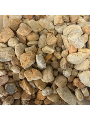 Amber Pebbles SM 3/4