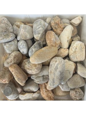 Amber Pebbles LG 1-3