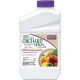 Bonide Citrus, Fruit & Nut Orchard Spray 32 OZ Concentrate
