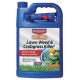 BioAdvanced All-in-One Lawn Weed & Crabgrass Killer 1 Gal RTU Trigger