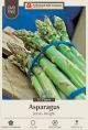 Asparagus Jersey Knight 10pk