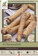 Horseradish Marliner Kren 4pk