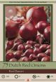 Onion Dutch Red 75pk