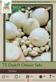 Onion Dutch White 75pk
