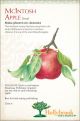 Apple McIntosh Semi-dwarf