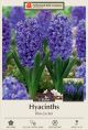 Hyacinth Blue Jacket 5PK