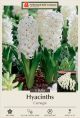 Hyacinth Carnegie 5PK