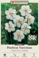 Daffodil Original Poet's 7PK
