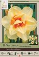 Narcissus Double Fashion 7PK