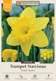 Narcissus Dutch Master 16PK