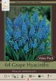 Hyacinth Grape 64PK