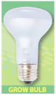 Agrosun 60 Watt Replacement Bulb