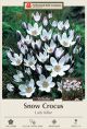 Crocus Lady Killer 10PK