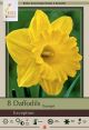 Narcissus Exception 7PK
