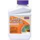 Bonide Copper Octanoate Fungicide 16 OZ. Concentrate