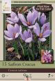 Crocus Saffron 12 PK