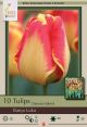 Tulip Banja Luka 7PK