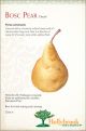 Pear Golden Russett Bosc European Dwarf