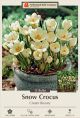 Crocus Cream Beauty 15PK