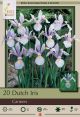 Iris Dutch Carmen 20PK