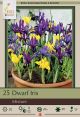 Iris Dwarf Mix 25 PK