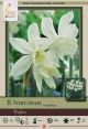 Narcissus Thalia 7PK