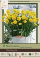 Narcissus Tete Boucle 7 PK