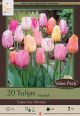 Tulip Easter Joy Mix  16PK