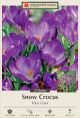 Crocus Ruby Giant 25PK