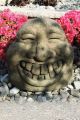 Laughing Garden Face 20