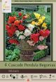 Begonia Cascade Pendula Mixture 4PK