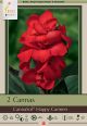 Canna CannaSol Happy Carmen 2 PK