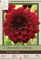 Dahlia Deco Arabian Night 2PK