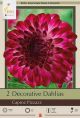 Dahlia Decorative Caproz Pizzazz 2PK