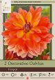 Dahlia Decorative Firpot  2PK