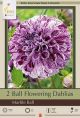 Dahlia Ball Marble Blue 2PK