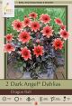 Dahlia Dark Angel Dragon Ball 2PK