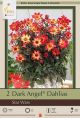 Dahlia Dark Angel Star Wars 2PK