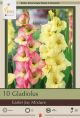 Gladiolus Easter Joy Mixture 10PK