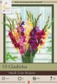 Gladiolus Mardi Gras Mixture 10PK