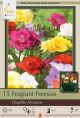 Freesia Double Mixture 15PK