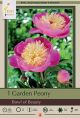 Paeonia lactiflora Bowl of Beauty 1PK