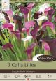 Calla Purple Rain Mixture 3PK