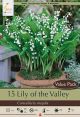 Lily of the Valley 15PK