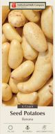 Potato Russian Banana  6PK