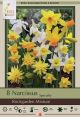 Narcissus Rockgarden Mix 7PK