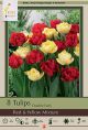Tulip Red & Yellow Mix 7PK