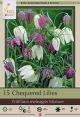 Fritilaria Chequered Lily 15PK