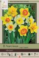Narcissus Large Cupped Mix 7PK